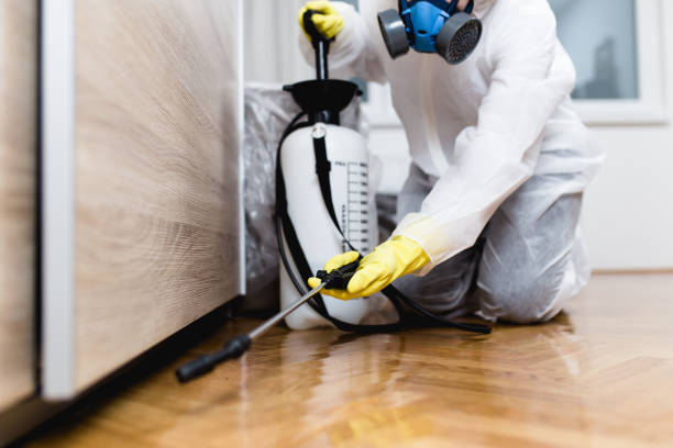 Best Mosquito Control Services  in Shrewsbury, MO