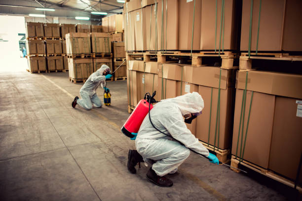 Best Flea Control Services  in Shrewsbury, MO