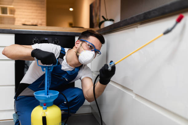 Pest Control for Restaurants in Shrewsbury, MO