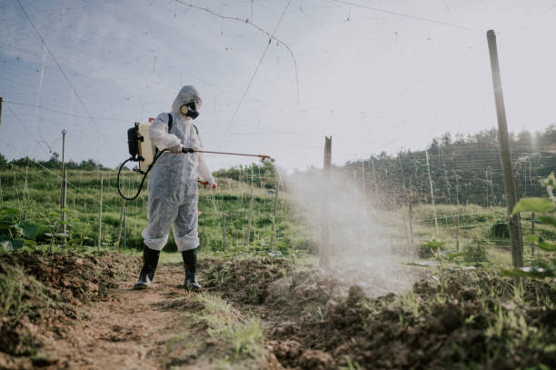 Best Local Pest Control Services  in Shrewsbury, MO
