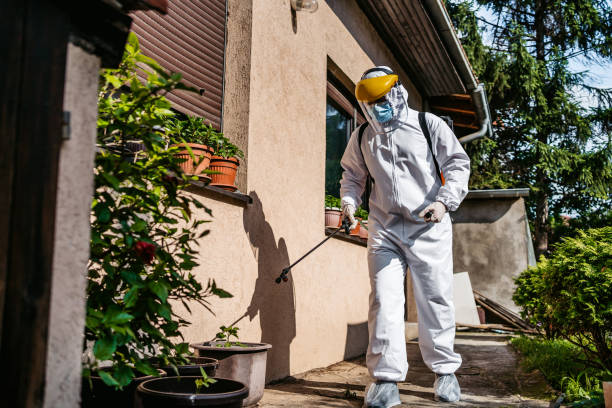 Best Pest Control Near Me  in Shrewsbury, MO
