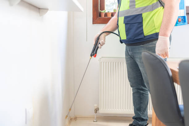 Best Wasp Removal Services  in Shrewsbury, MO