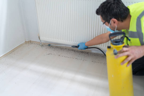 Best Best Pest Control Companies  in Shrewsbury, MO